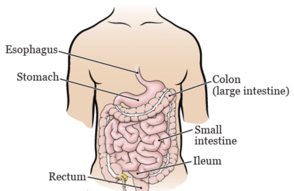 Colon Broom Side Effects